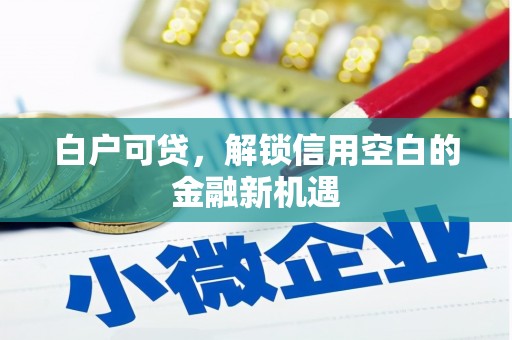 额济纳旗白户可贷，解锁信用空白的金融新机遇