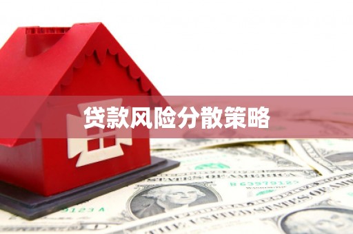 额济纳旗贷款风险分散策略