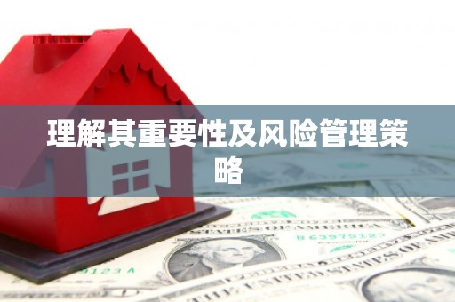 额济纳旗理解其重要性及风险管理策略