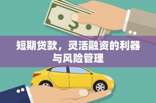 额济纳旗短期贷款，灵活融资的利器与风险管理