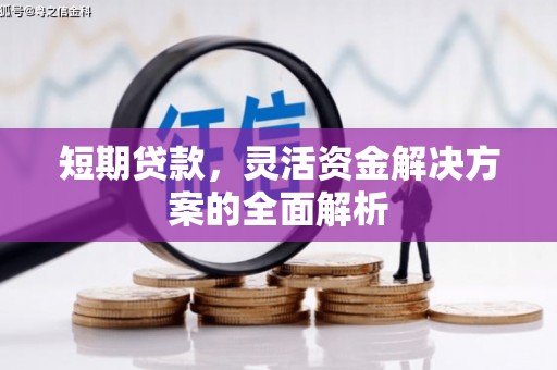 额济纳旗短期贷款，灵活资金解决方案的全面解析
