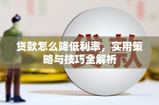 额济纳旗贷款怎么降低利率，实用策略与技巧全解析