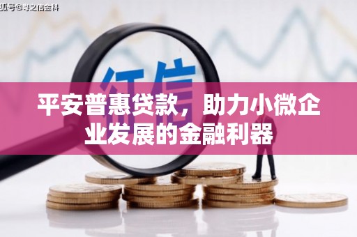 额济纳旗平安普惠贷款，助力小微企业发展的金融利器