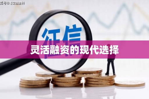 额济纳旗灵活融资的现代选择