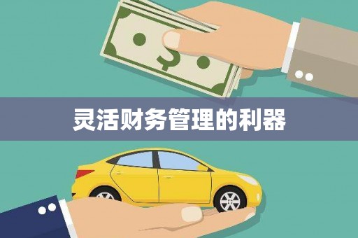额济纳旗灵活财务管理的利器