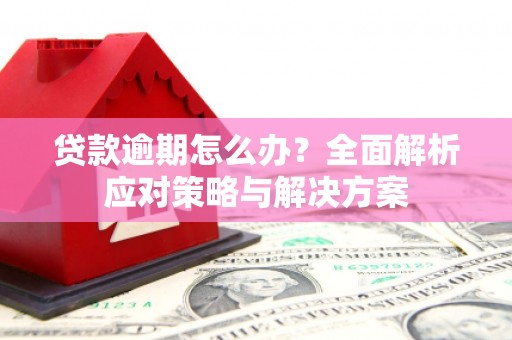 额济纳旗贷款逾期怎么办？全面解析应对策略与解决方案