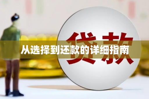 额济纳旗从选择到还款的详细指南