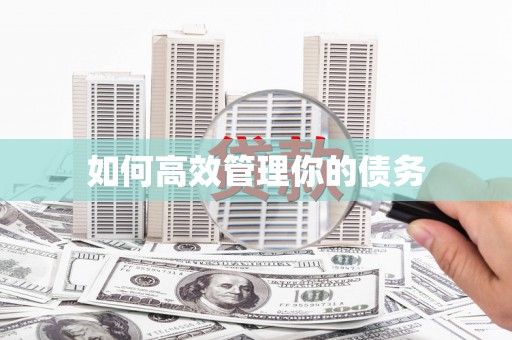 额济纳旗如何高效管理你的债务
