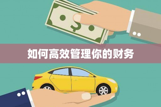 额济纳旗如何高效管理你的财务