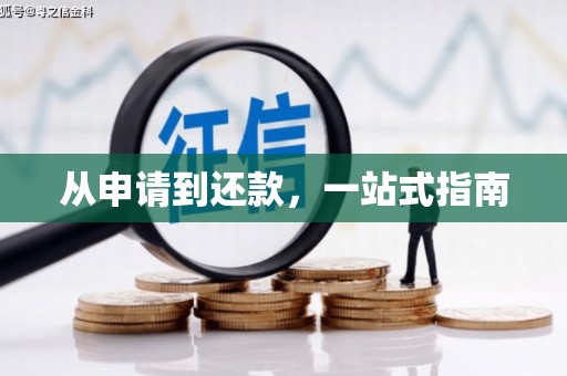 额济纳旗从申请到还款，一站式指南