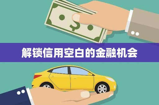 额济纳旗解锁信用空白的金融机会