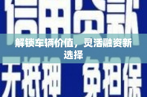 额济纳旗解锁车辆价值，灵活融资新选择