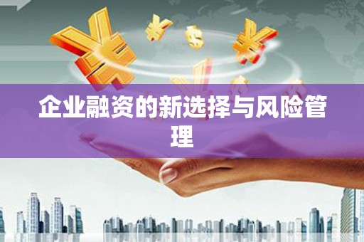 额济纳旗企业融资的新选择与风险管理