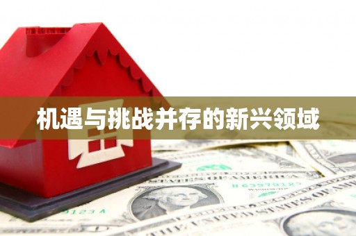 额济纳旗机遇与挑战并存的新兴领域