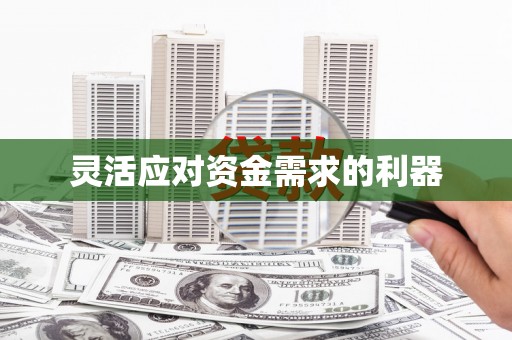 额济纳旗灵活应对资金需求的利器