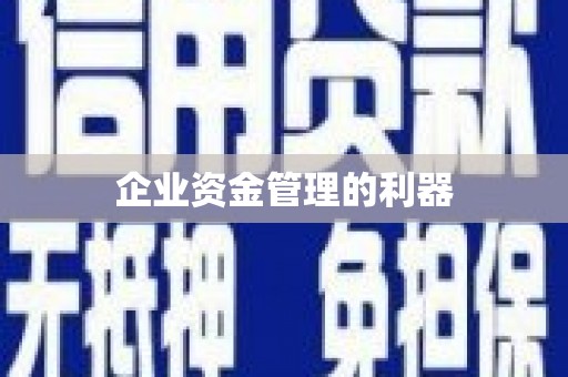 额济纳旗企业资金管理的利器