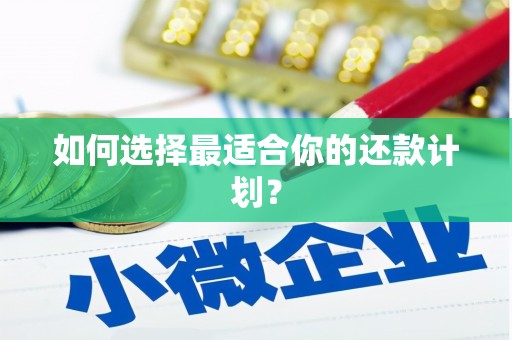 额济纳旗如何选择最适合你的还款计划？