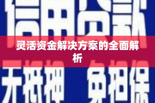 额济纳旗灵活资金解决方案的全面解析