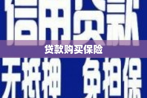 额济纳旗贷款购买保险