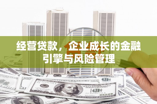 额济纳旗经营贷款，企业成长的金融引擎与风险管理