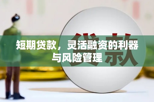 额济纳旗短期贷款，灵活融资的利器与风险管理