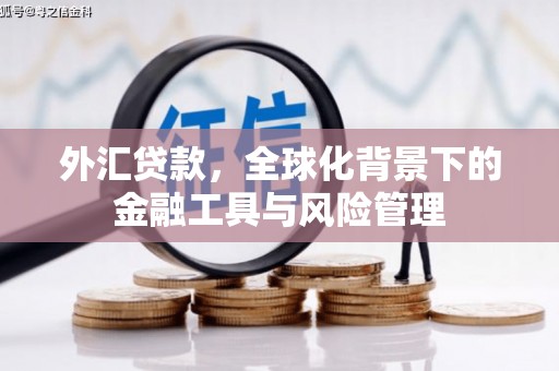 额济纳旗外汇贷款，全球化背景下的金融工具与风险管理