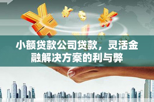额济纳旗小额贷款公司贷款，灵活金融解决方案的利与弊