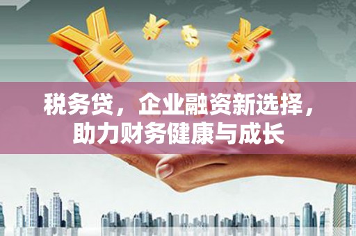 额济纳旗税务贷，企业融资新选择，助力财务健康与成长