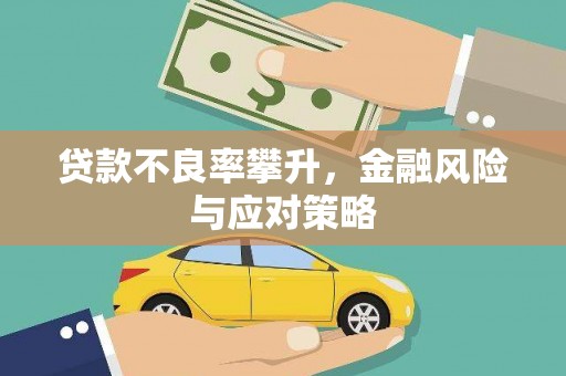额济纳旗贷款不良率攀升，金融风险与应对策略