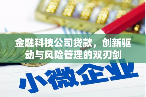 额济纳旗金融科技公司贷款，创新驱动与风险管理的双刃剑