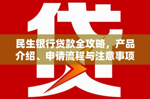 额济纳旗民生银行贷款全攻略，产品介绍、申请流程与注意事项