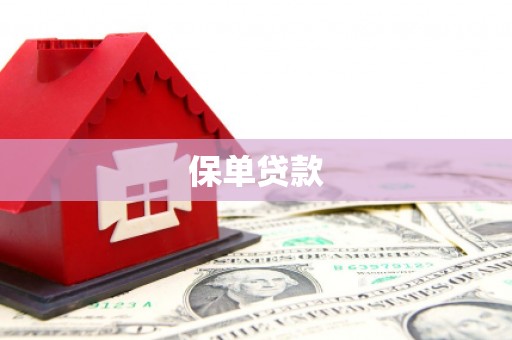 额济纳旗保单贷款 额济纳旗保单贷款